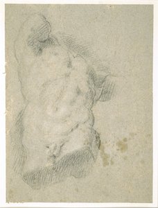 Rysunek męskiego torsu (węgiel na niebieskim papierze) autorstwa Jacopo Bassano