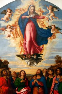 Wniebowzięcie Marii, Palma il Vecchio Serina 1513 (obraz)