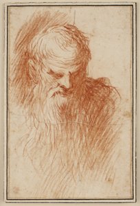 Głowa brodatego mężczyzny autorstwa Jacopo Palma