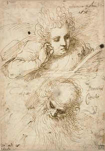 Andriana Palma i Diogenes Cynic