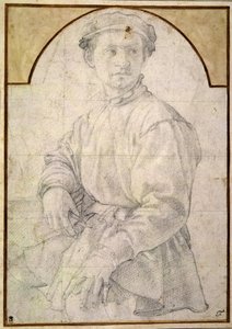 Siedzący młodzieniec w czapce (kreda na papierze) autorstwa Jacopo Pontormo