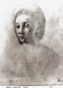 Głowa kobiety (kreda na papierze) autorstwa Jacopo Pontormo