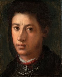 Portret Alessandro de Medici 1510-1537, 1534-1535 autorstwa Jacopo Pontormo