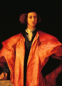Portret młodego mężczyzny, być może Amerigo Antinori, ok. 1530 r., autorstwa Jacopo Carucciego, znanego jako Pontormo (1494-1557), olej na desce autorstwa Jacopo Pontormo