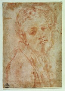 Autoportret (czerwona kreda na papierze) autorstwa Jacopo Pontormo