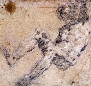 Studium aktu męskiego autorstwa Jacopo Robusti Tintoretto