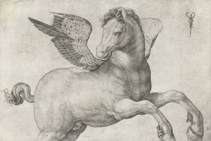 Pegaz, 1509-16 autorstwa Jacopo de Barbari