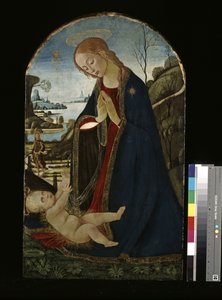 Madonna adorująca Dzieciątko Jezus (olej na drewnie) autorstwa Jacopo del Sellaio