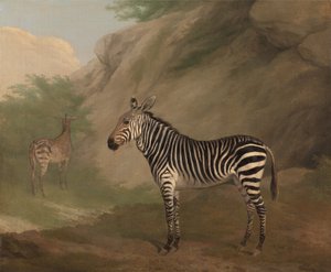 Полировка зебры autorstwa Jacques-Laurent Agasse