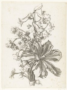 Bukiet z tulipanem, hiacyntem, brodiajami i żonkilami Diverse Fleurs mises en Boucquets (tytuł serii) autorstwa Jacques Bailly (I)