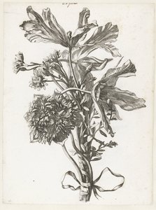 Bukiet z wyblakłych tulipanów, zawilca i nieśmiertelnika Diverse Fleurs mises en Boucquets (tytuł serii) autorstwa Jacques Bailly (I)
