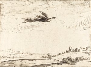 Rajski ptak autorstwa Jacques Callot