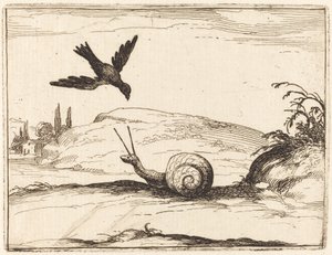 Wrona i ślimak autorstwa Jacques Callot