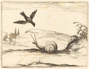 Wrona i ślimak autorstwa Jacques Callot