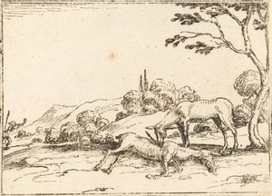 Doe opłakuje swojego źrebaka. autorstwa Jacques Callot