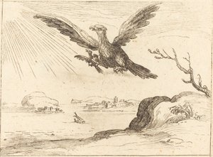 Orzeł i młody autorstwa Jacques Callot