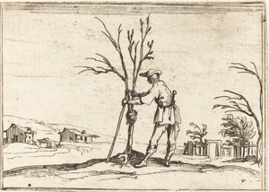 Ogrodnik przycinający drzewo autorstwa Jacques Callot