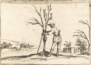 Ogrodnik przycinający drzewo autorstwa Jacques Callot