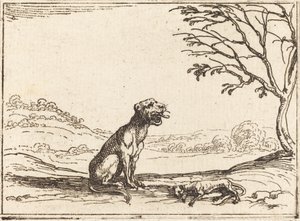 Lwica opłakuje swojego szczeniaka autorstwa Jacques Callot