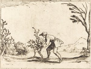 Mężczyzna ścina balsam autorstwa Jacques Callot