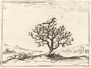 Słowik w krzaku autorstwa Jacques Callot