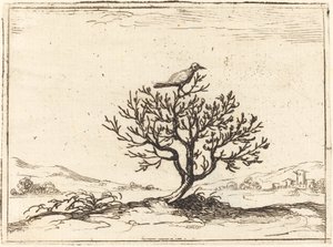 Słowik w krzaku autorstwa Jacques Callot