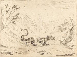 Salamandra otoczona płomieniami. autorstwa Jacques Callot