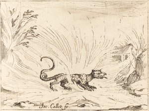 Salamandra otoczona płomieniami autorstwa Jacques Callot
