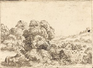 Owca wołająca owieczkę autorstwa Jacques Callot
