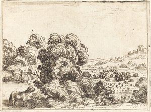 Owca wołająca owieczkę autorstwa Jacques Callot