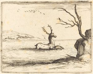 Jeleń w wodzie autorstwa Jacques Callot