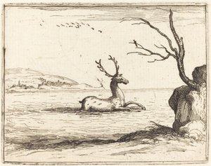 Jeleń w wodzie autorstwa Jacques Callot