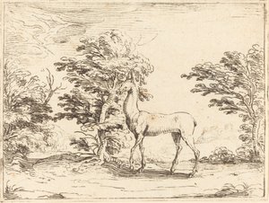 Łania autorstwa Jacques Callot