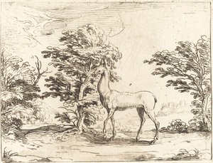 Łania autorstwa Jacques Callot