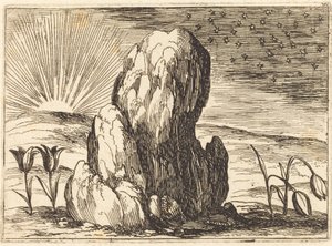 Tulipany i Słońce autorstwa Jacques Callot