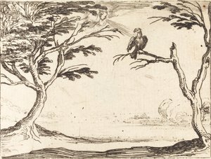 Sęp autorstwa Jacques Callot
