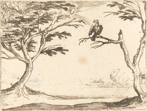 Sęp autorstwa Jacques Callot