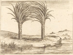 Dwie palmy autorstwa Jacques Callot