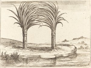 Dwie palmy autorstwa Jacques Callot