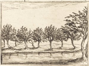 Wierzby nad brzegiem wody autorstwa Jacques Callot