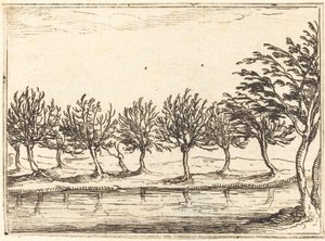 Wierzby nad brzegiem wody autorstwa Jacques Callot