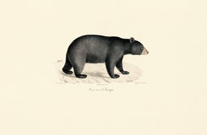  autorstwa Jacques Christophe Werner