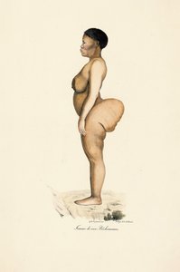 Boschman Race Woman in Profile autorstwa Jacques Christophe Werner