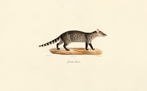  autorstwa Jacques Christophe Werner