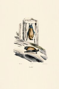  autorstwa Jacques Christophe Werner