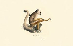  autorstwa Jacques Christophe Werner