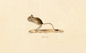  autorstwa Jacques Christophe Werner