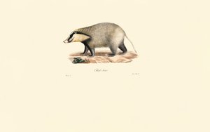  autorstwa Jacques Christophe Werner
