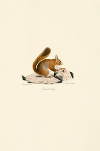  autorstwa Jacques Christophe Werner