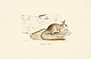  autorstwa Jacques Christophe Werner